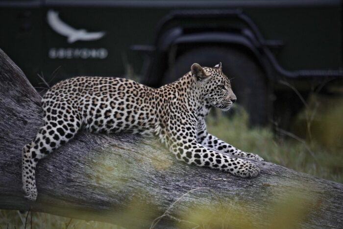 Cedarberg Travel | andBeyond Kirkman's Kamp