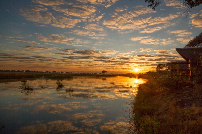 Cedarberg Travel | Kwando Lagoon Camp