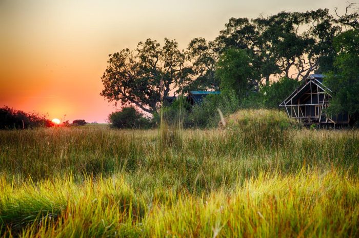 Cedarberg Travel | Kwando Lebala Camp