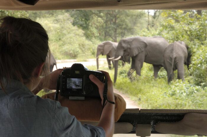 Cedarberg Travel | andBeyond Lake Manyara Tree Lodge