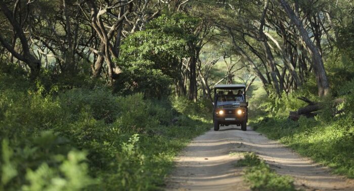 Cedarberg Travel | andBeyond Lake Manyara Tree Lodge