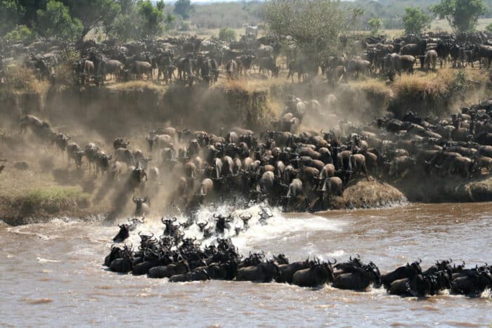 Cedarberg Travel | Lamai Serengeti