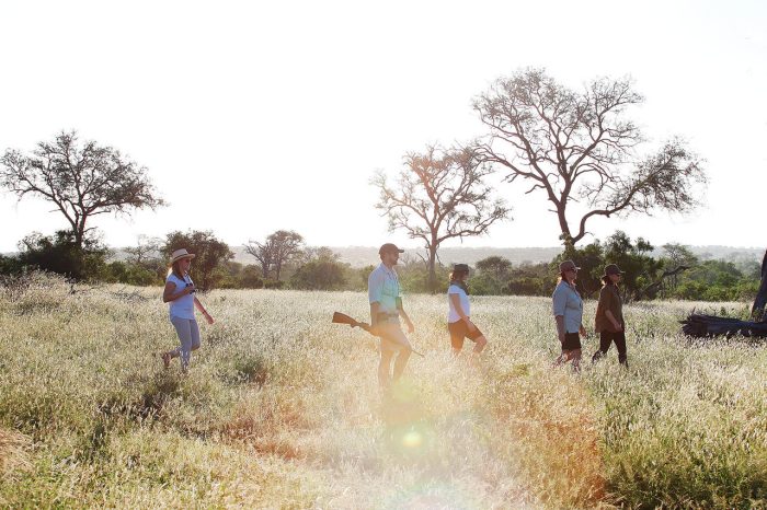 Cedarberg Travel | Londolozi Tree Camp