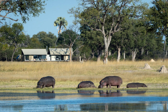 Cedarberg Travel | Linkwasha Camp