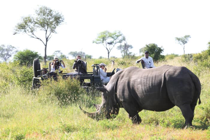 Cedarberg Travel | Londolozi Founders Camp