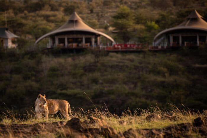 Cedarberg Travel | Mahali Mzuri