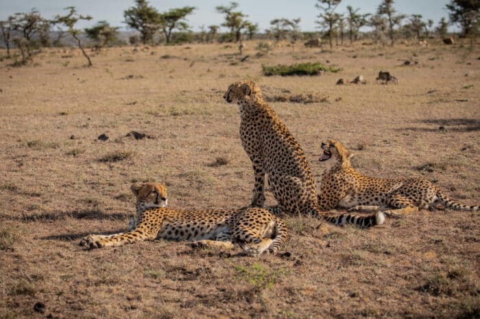 Cedarberg Travel | Mahali Mzuri