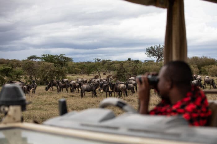 Cedarberg Travel | Mahali Mzuri