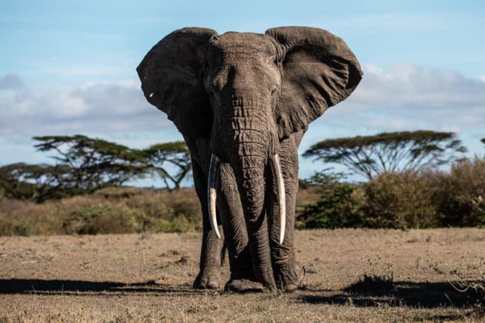 Cedarberg Travel | Mahali Mzuri