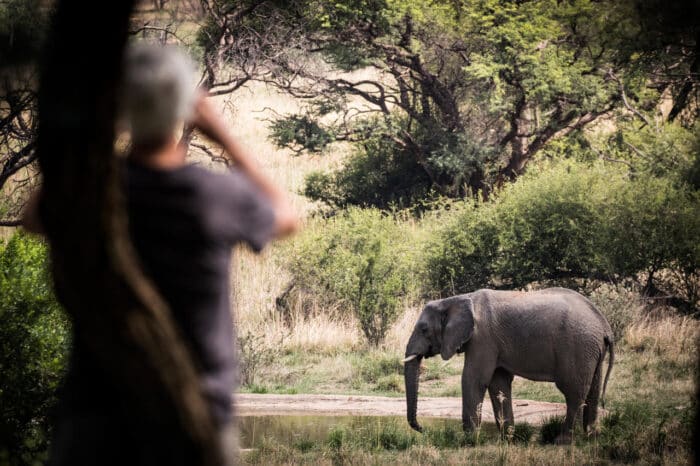 Cedarberg Travel | Marataba Safari Lodge