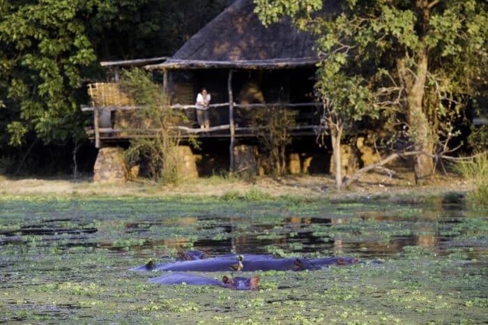 Cedarberg Travel | Mfuwe Lodge