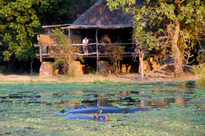 Cedarberg Travel | Mfuwe Lodge