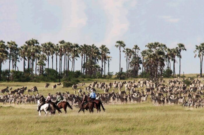 Cedarberg Travel | Camp Kalahari