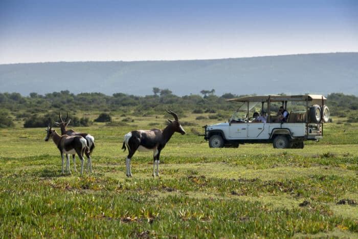 Cedarberg Travel | Morukuru Ocean House