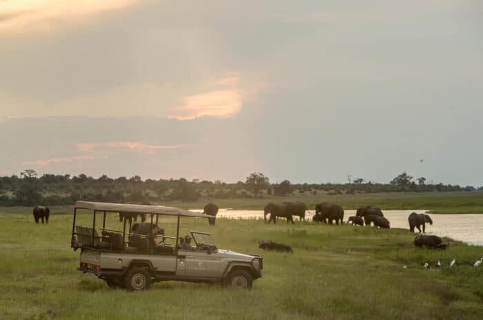 Cedarberg Travel | Muchenje Safari Lodge