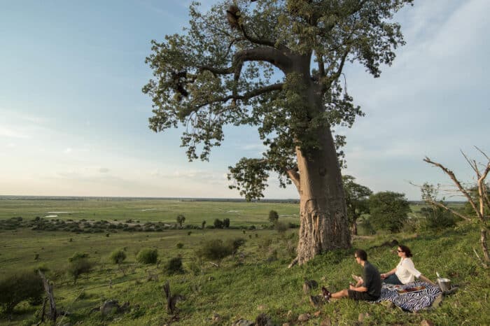 Cedarberg Travel | Muchenje Safari Lodge