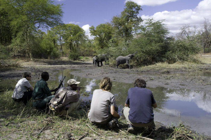 Cedarberg Travel | Mvuu Camp