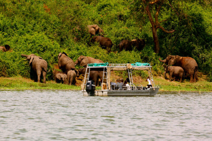 Cedarberg Travel | Mweya Safari Lodge