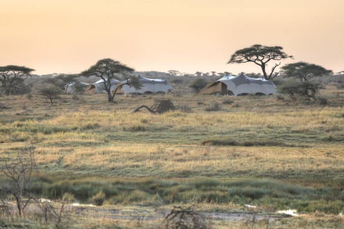 Cedarberg Travel | Namiri Plains Camp