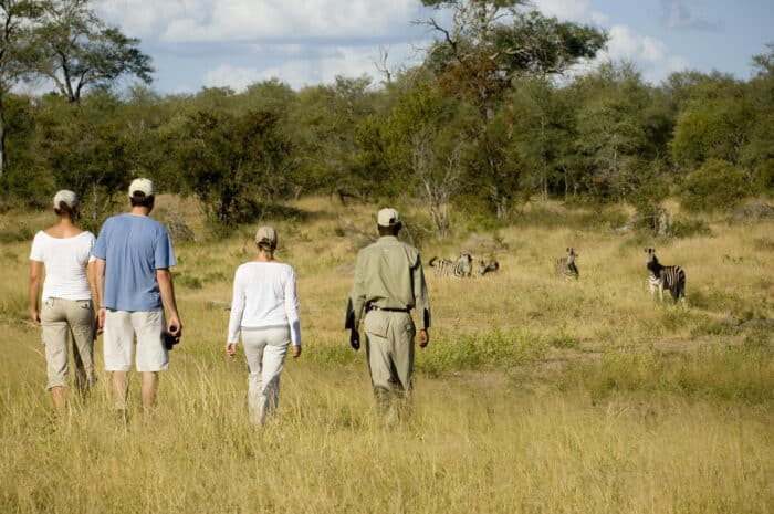 Cedarberg Travel | andBeyond Ngala Safari Lodge