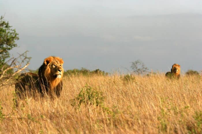 Cedarberg Travel | The Emakoko