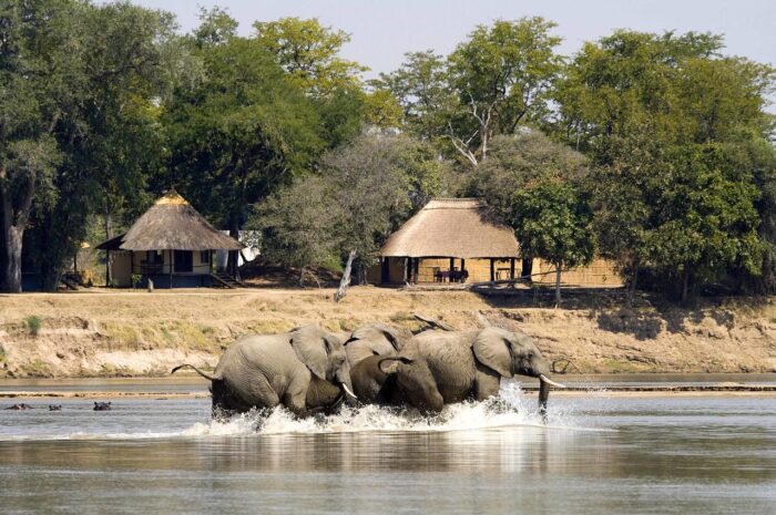 Cedarberg Travel | Nsefu Camp