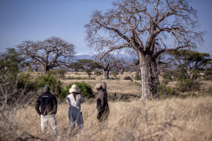 Cedarberg Travel | Nimali Tarangire