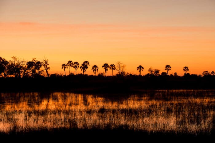 Cedarberg Travel | andBeyond Nxabega Okavango Tented Camp