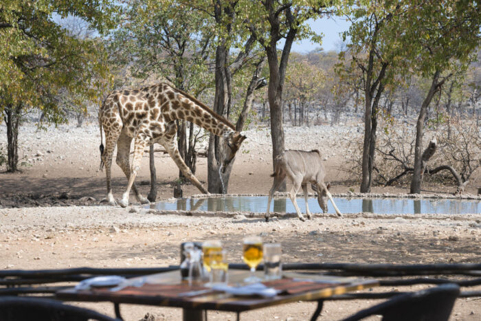 Cedarberg Travel | Ongava Tented Camp