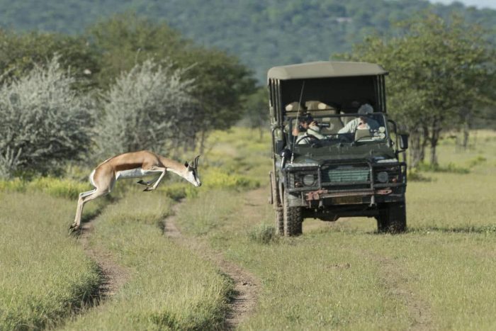 Cedarberg Travel | Ongava Lodge