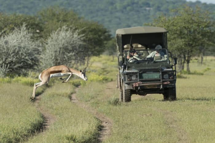 Cedarberg Travel | Ongava Tented Camp