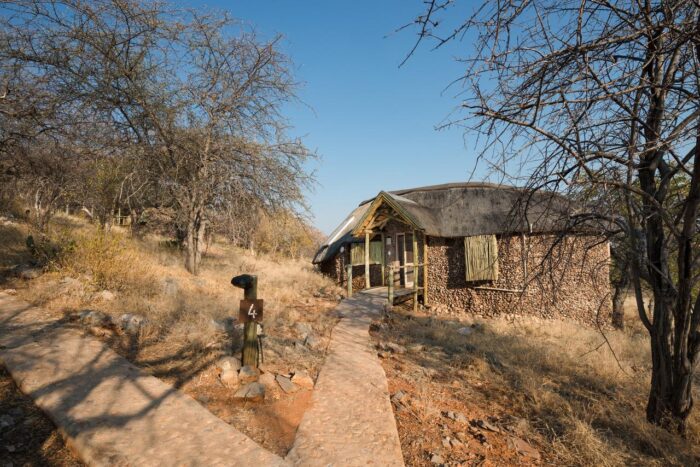 Cedarberg Travel | Ongava Lodge