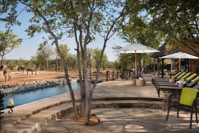 Cedarberg Travel | Ongava Tented Camp