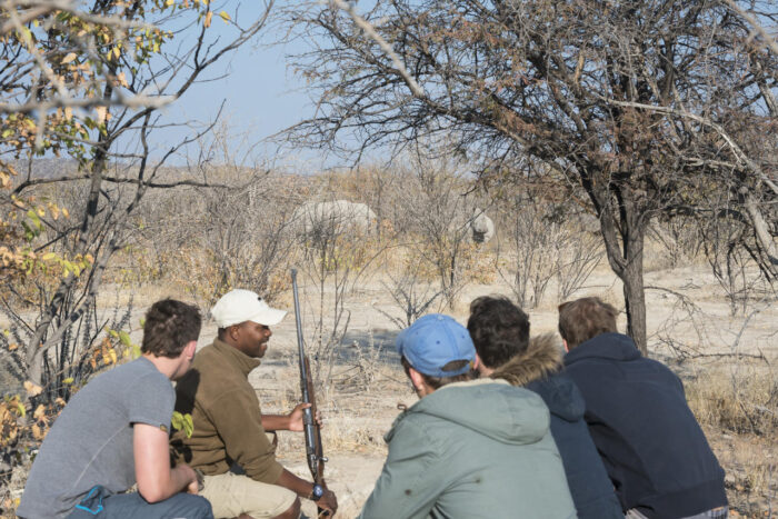 Cedarberg Travel | Little Ongava