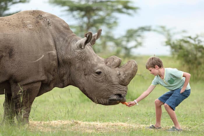 Cedarberg Travel | Ol Pejeta Bush Camp