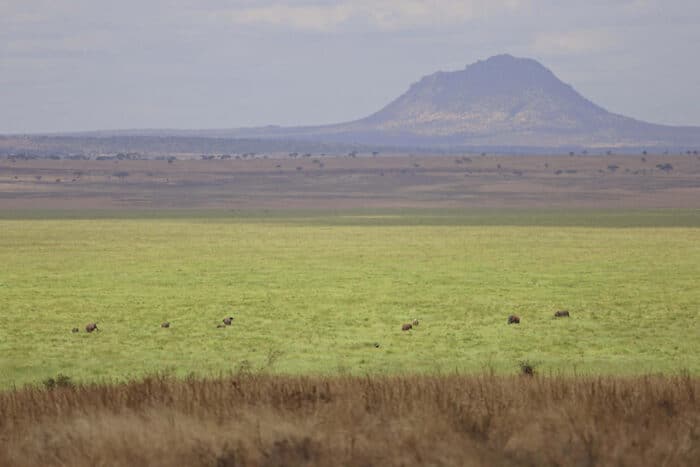 Cedarberg Travel | Oliver's Camp