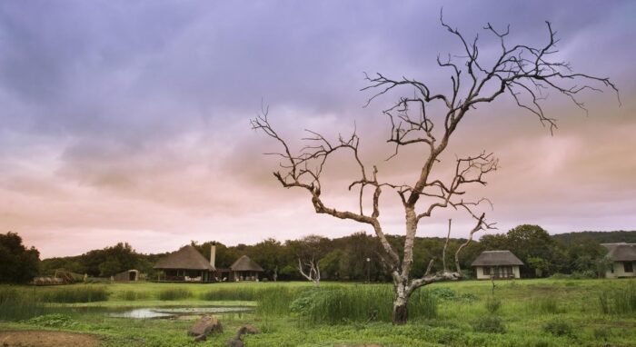 Cedarberg Travel | andBeyond Phinda Zuka Lodge