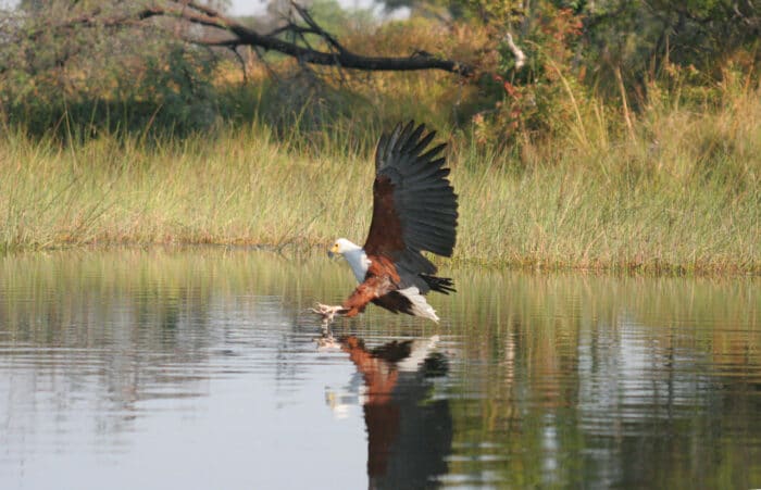 Cedarberg Travel | Pom Pom Camp