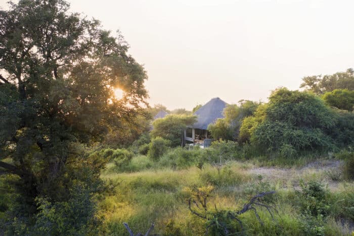 Cedarberg Travel | Londolozi Pioneer Camp