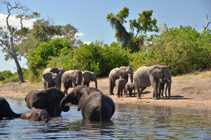 Cedarberg Travel | Muchenje Safari Lodge