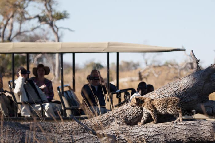 Cedarberg Travel | Pom Pom Camp