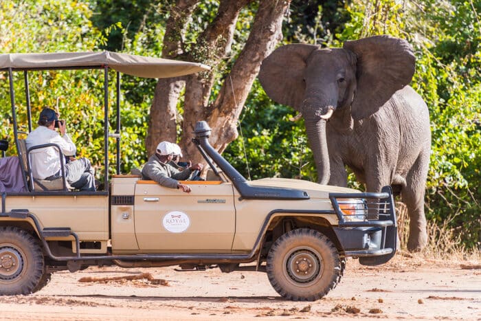 Cedarberg Travel | Royal Zambezi Lodge