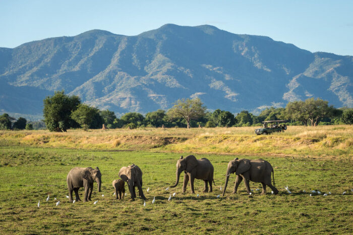 Cedarberg Travel | Ruckomechi Camp