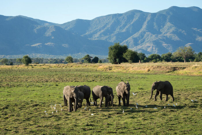 Cedarberg Travel | Ruckomechi Camp