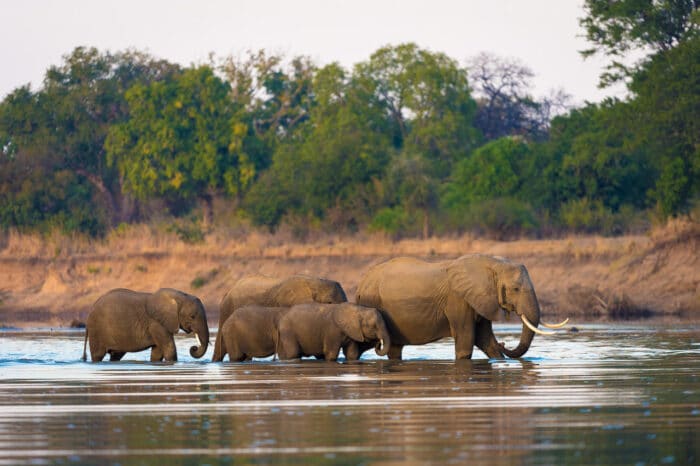 Cedarberg Travel | Nsefu Camp