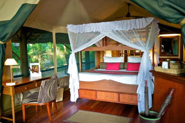 Cedarberg Travel | Samburu Intrepids Tented Camp