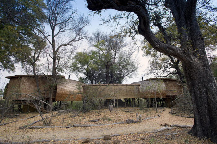 Cedarberg Travel | andBeyond Sandibe Okavango Safari Lodge