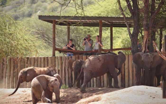 Cedarberg Travel | Sarara Camp