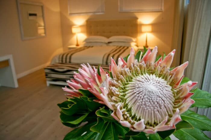 Cedarberg Travel | Sea Five Boutique Hotel