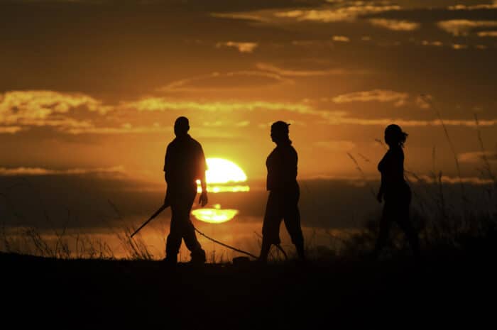 Cedarberg Travel | Selinda Camp